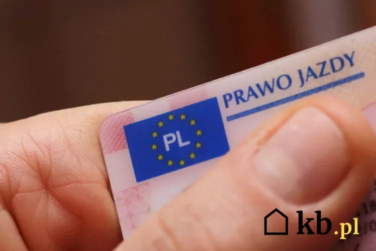 Zdjęcie Ile czasu czekasz na prawo jazdy? Szybka i prosta procedura po egzaminie