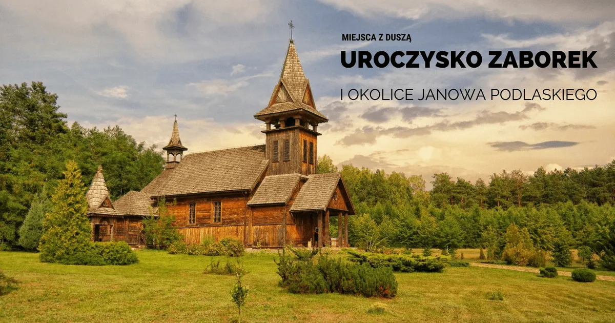 Zdjęcie Najlepsze atrakcje w Janowie Podlaskim, które musisz zobaczyć