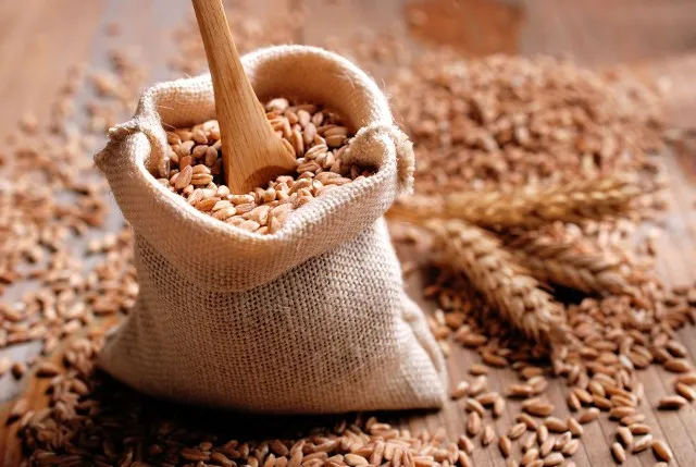 Zdjęcie Czy w mące orkiszowej jest gluten? Poznaj ważne informacje dla zdrowia