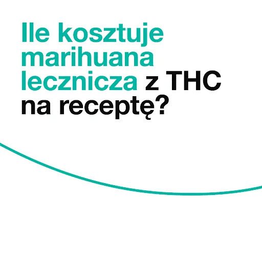 Zdjęcie Ile kosztuje recepta na medyczną marihuanę? Sprawdź ceny i opcje