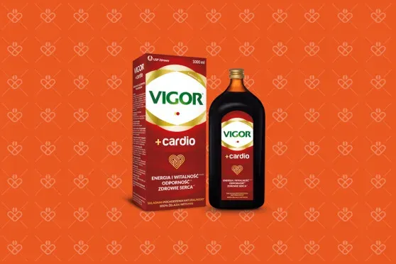 Zdjęcie Vigor cardio dla kogo? Sprawdź, kto zyska na jego stosowaniu