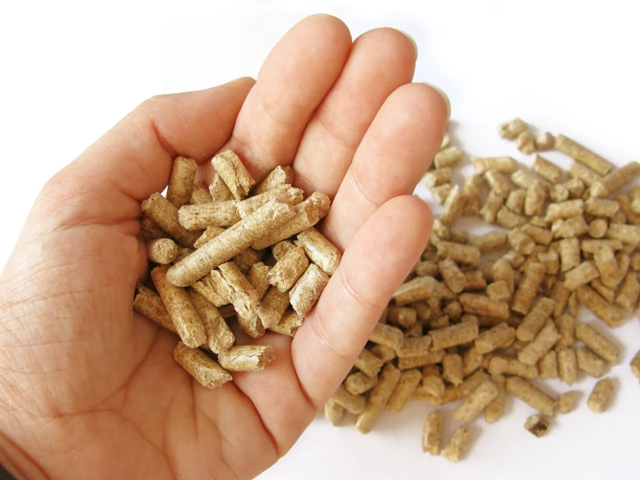 Zdjęcie Pellet A1 czy A2 – który wybór przyniesie lepsze oszczędności?