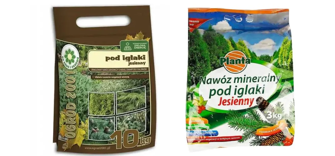 Zdjęcie Jaki nawóz na jesień na działkę? Kluczowe informacje dla ogrodników