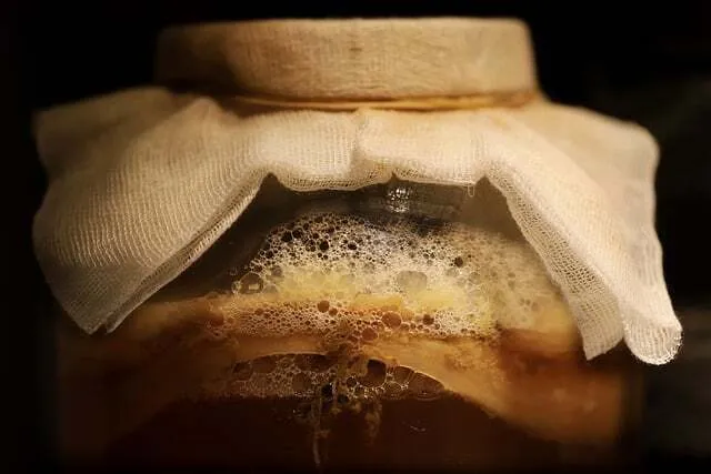 Zdjęcie Kombucha na co jest dobra? Odkryj jej niezwykłe właściwości zdrowotne