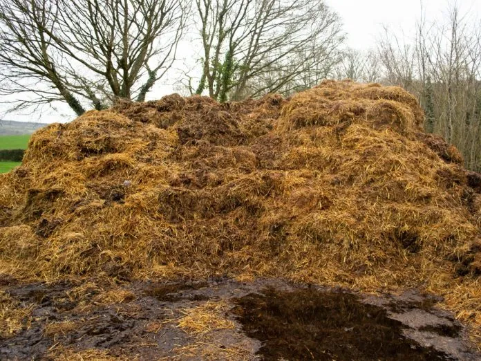 Zdjęcie W jakiej odległości od budynk&oacute;w mieszkalnych można wylewać gnojowicę bez ryzyka?