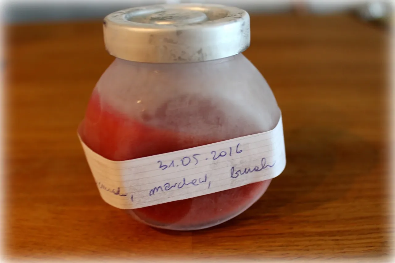 Zdjęcie Jak mrozić zupy? Poradnik, by cieszyć się smakiem na dłużej.