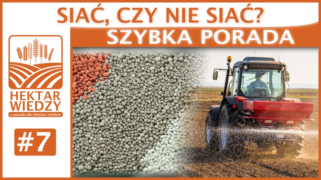 Zdjęcie Kiedy siać nawóz po oprysku, aby uniknąć katastrofy w uprawach
