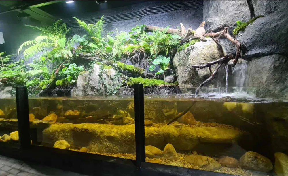 Zdjęcie Oceanarium w Czechach: Fascynujące atrakcje i niezapomniane wrażenia
