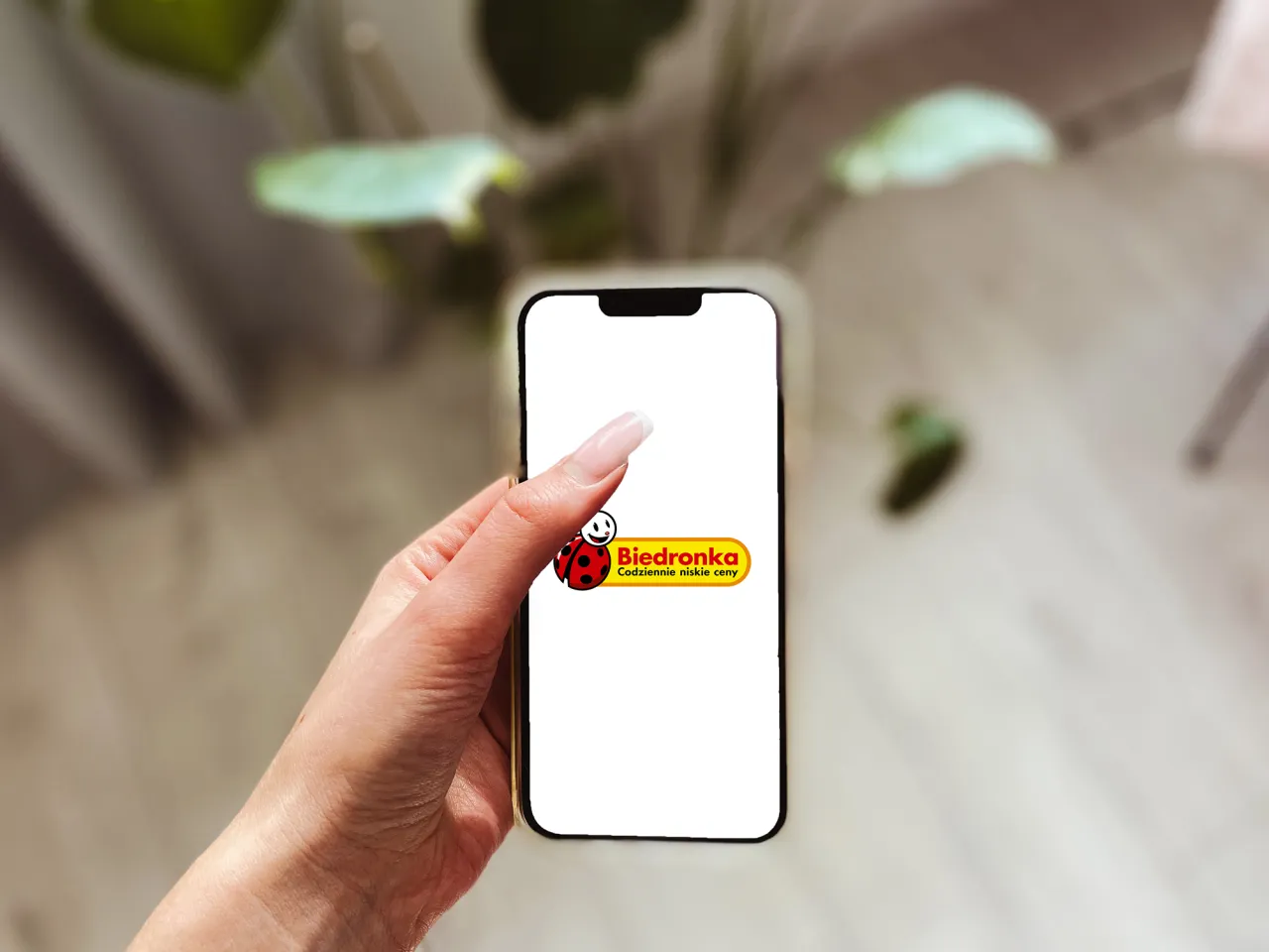 Zdjęcie Jak zainstalować aplikację Biedronka na Androidzie i iOS – krok po kroku