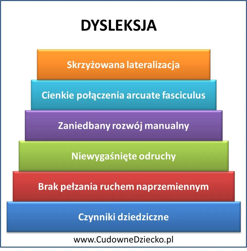 Zdjęcie Kiedy diagnozować dysleksję? Objawy, korzyści i kroki do profesjonalnej oceny