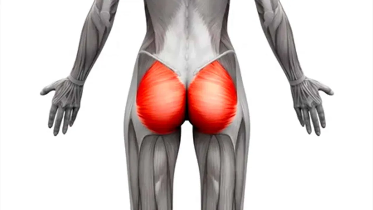 Zdjęcie Descubre el m&uacute;sculo m&aacute;s grande: Gl&uacute;teo mayor, tu motor oculto