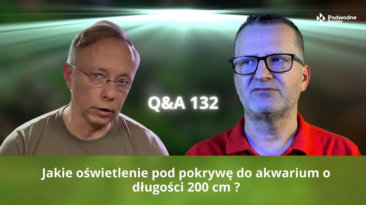 Zdjęcie Jakie oświetlenie do akwarium roślinnego 200l, aby uniknąć problemów z roślinami?
