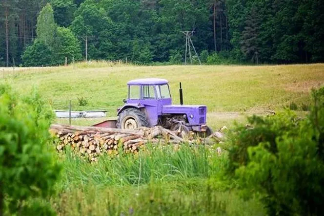 Zdjęcie Ile wynosi podatek od gruntu rolnego i jak go obliczyć?