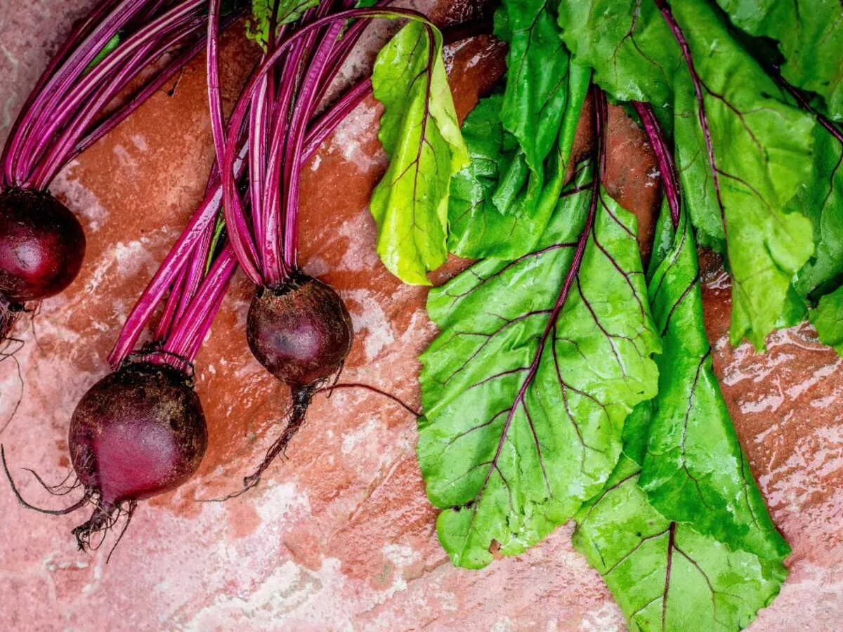 Zdjęcie Selles rouges après betteraves : combien de temps cela dure-t-il ?