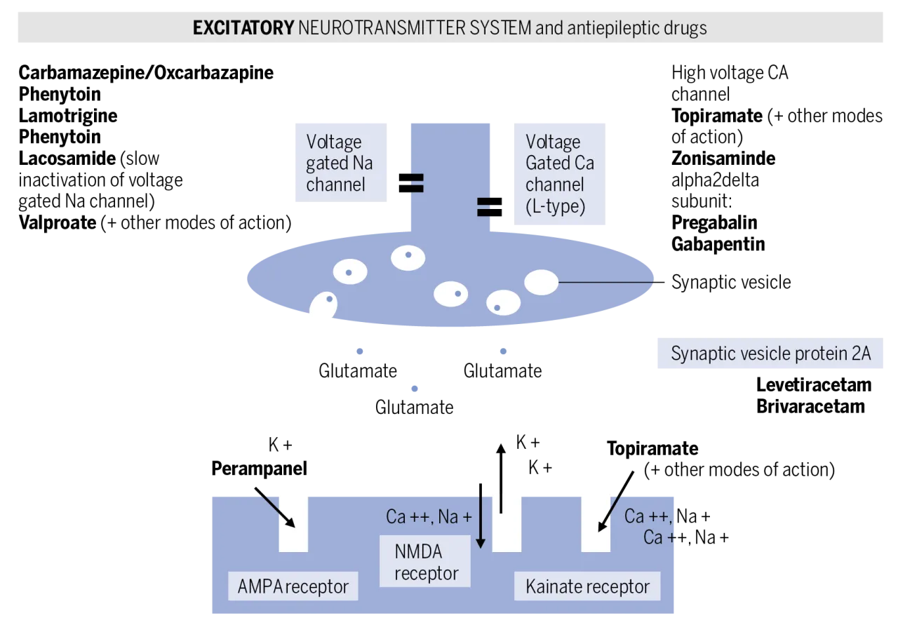 Zdjęcie Umfassende Liste der Epilepsie Medikamente mit Wirkungen und Nebenwirkungen