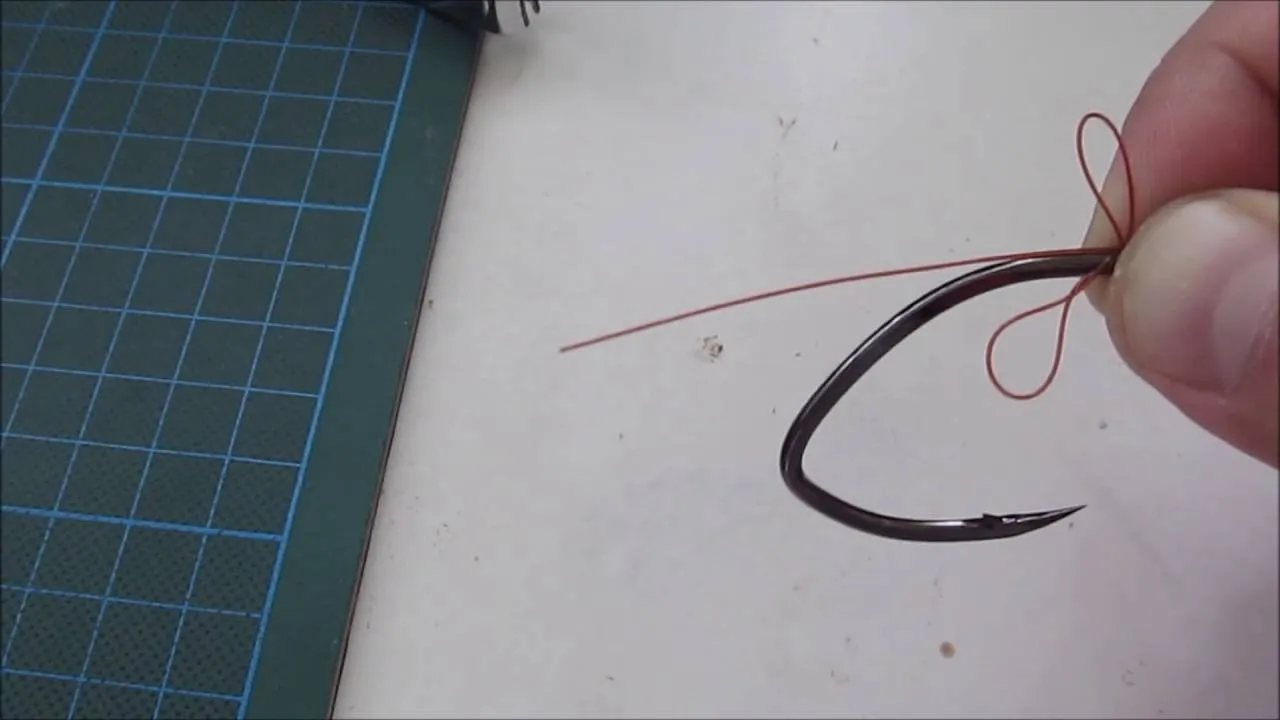 Zdjęcie Jak założyć wątróbkę na haczyk, by uniknąć najczęstszych błędów