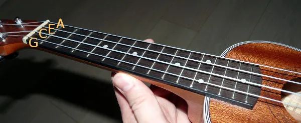 Zdjęcie Poznaj nazwy i oznaczenia wszystkich strun w ukulele - kompletny poradnik