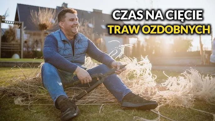 Zdjęcie Jak przycinać trawy ozdobne na wiosnę, by uniknąć błędów i uzyskać piękno