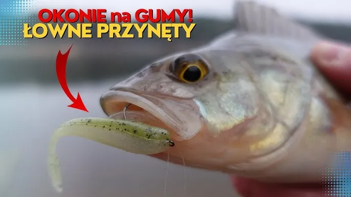 Zdjęcie Skuteczne przynęty jaskółki: jak je wykorzystać na ryby?