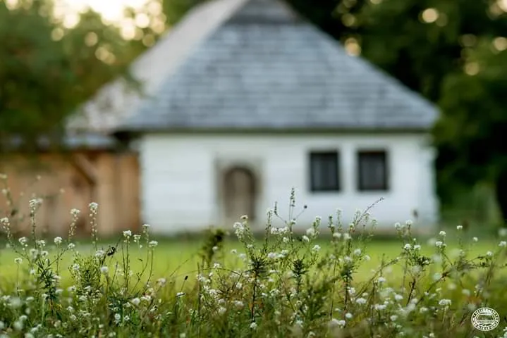 Zdjęcie Tokarnia skansen godziny otwarcia – nie przegap najlepszych dni na wizytę