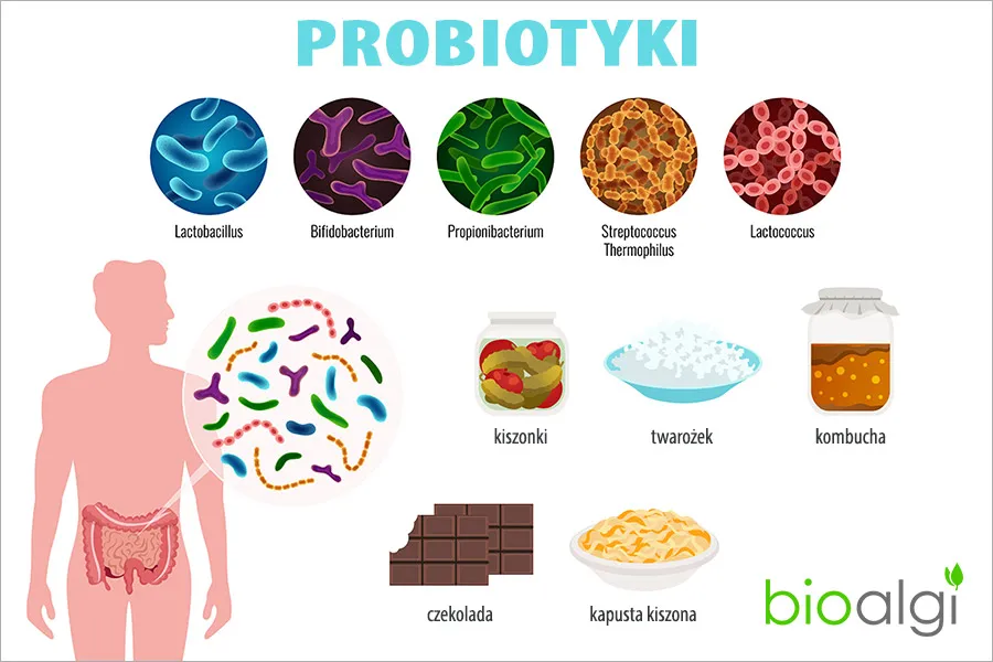 Zdjęcie Probiotyki a wzdęcia: dogłębna analiza skuteczności i efektów.