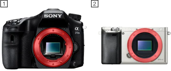 Zdjęcie Czy obiektywy Minolty pasują do Sony? Sprawdź, co musisz wiedzieć