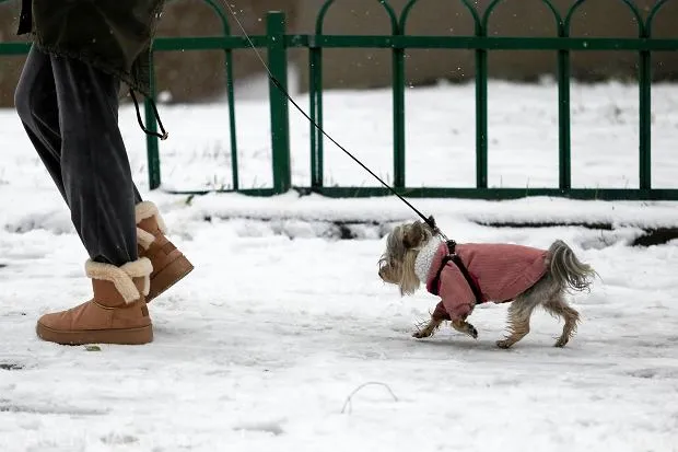 Zdjęcie Czy na L4 można chodzić? Poznaj zasady i ograniczenia wychodzenia