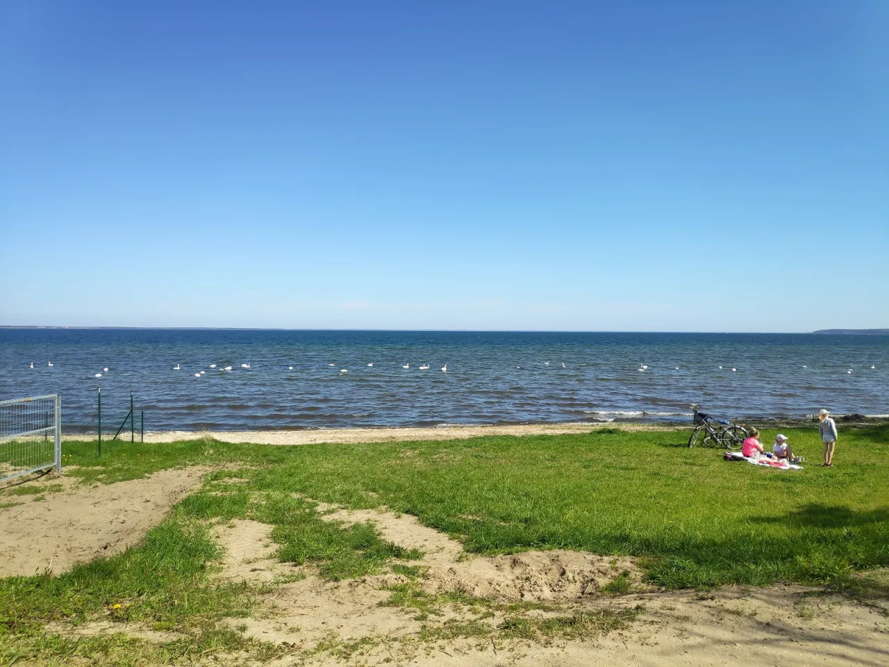 Zdjęcie 5 scen z &quot;Dzikiej plaży&quot;, które na zawsze zrewolucjonizowały kino