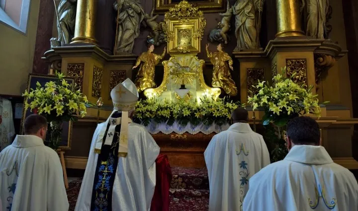 Zdjęcie Sanktuarium Matki Bożej Miłosierdzia – historia, znaczenie i praktyczne wskazówki dla pielgrzymów