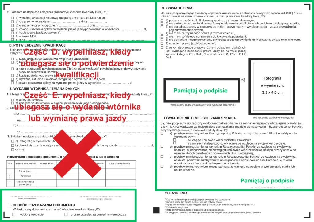Zdjęcie Jak długo robi się prawo jazdy? Poznaj czas i etapy uzyskania dokumentu