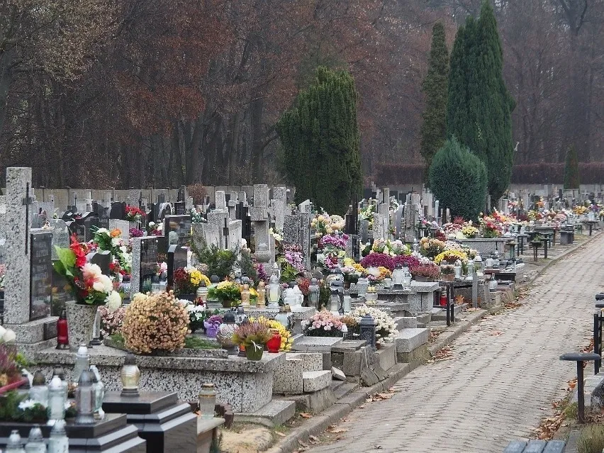 Zdjęcie Jak zabezpieczyć kwiaty na cmentarzu przed kradzieżą i uniknąć straty