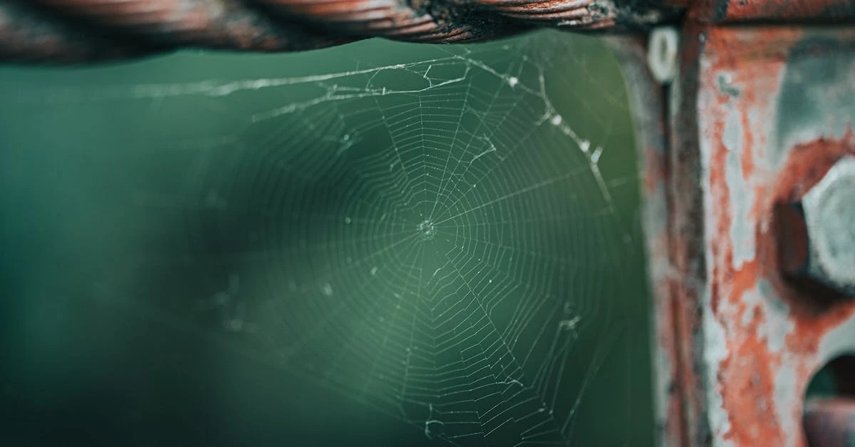 Spider-Man: Bez Drogi do Domu - Głęboki wgląd w najnowszą przygodę Petera Parkera