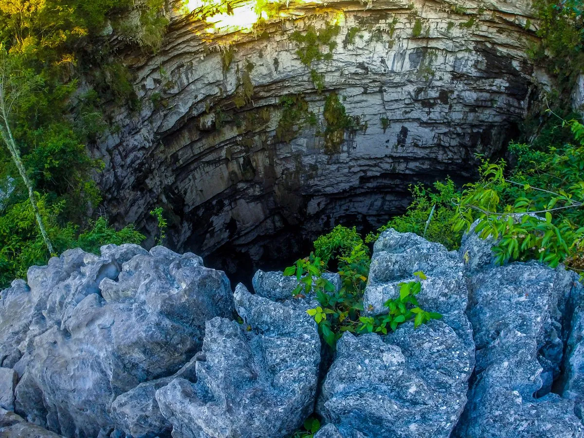 Zdjęcie S&oacute;tano de las Golondrinas: &iquest;Listo para el espect&aacute;culo de aves? Gu&iacute;a