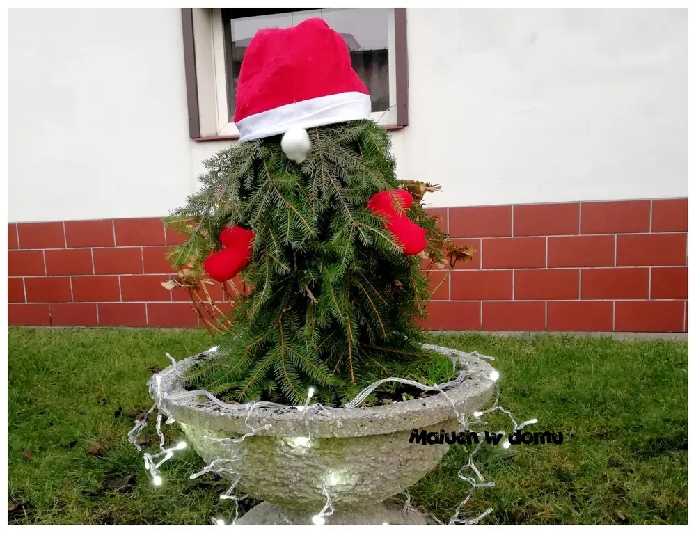 Zdjęcie Skrzaty z betonu jak zrobić – proste kroki do stworzenia gnomów