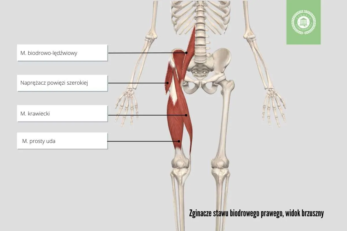 Zdjęcie Czy biodra po porodzie się zejdą? Jak wrócić do formy i uniknąć zmian