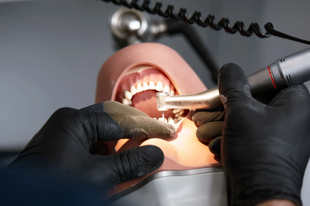 Zdjęcie Dónde estudiar odontología en España: las mejores opciones y consejos