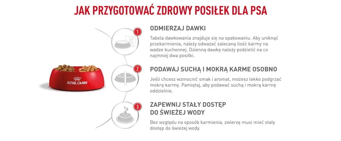 Zdjęcie Jaką karmę dla psa wybrać, aby uniknąć problemów zdrowotnych?