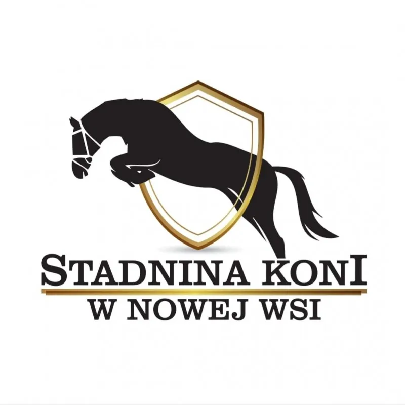 Zdjęcie Stadnina koni Nowa Wieś - najlepsze jazdy konne i szkolenia jeździeckie