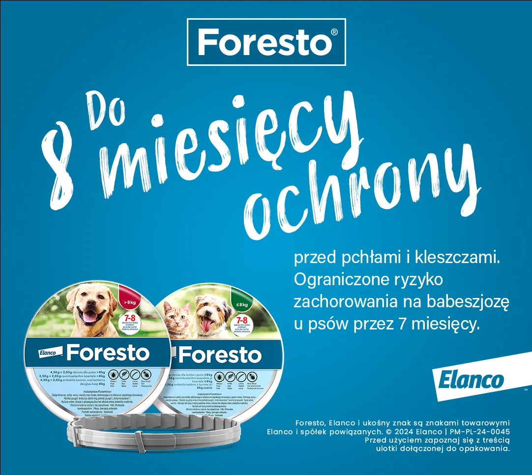 Zdjęcie Obroża Foresto czy można kąpać psa bez obaw o skuteczność?