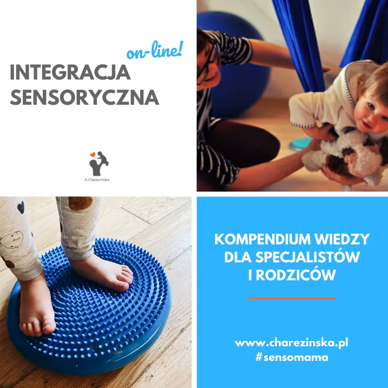 Zdjęcie Ceny kursów integracji sensorycznej – porównanie ofert w Polsce