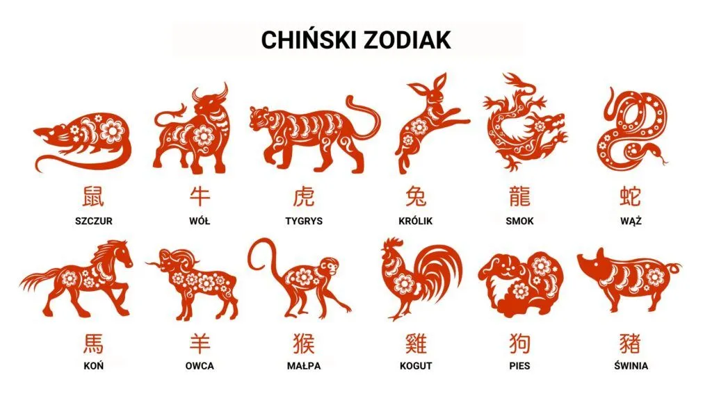 Zdjęcie Zodiak, w którym geniusze się najczęściej pojawiają