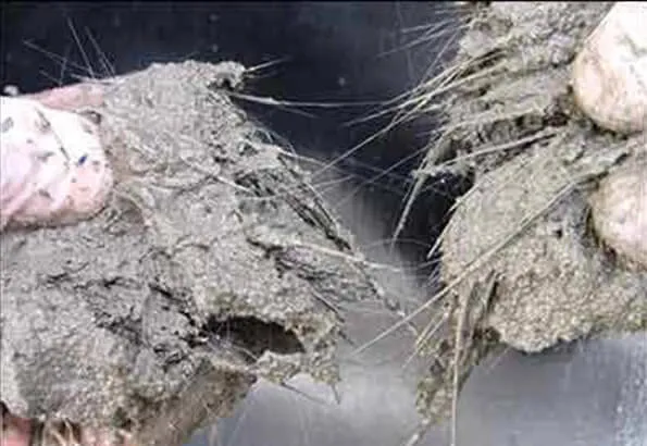 Zdjęcie Ile włókna polipropylenowego do wylewki? Kluczowe informacje dla trwałości