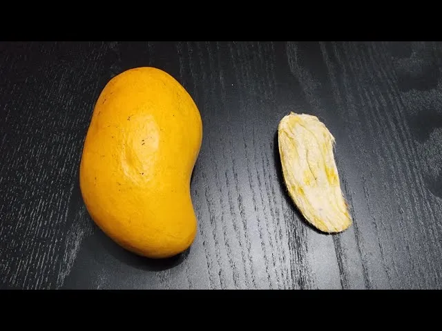 Zdjęcie Jak skutecznie sadzić pestkę mango, aby uniknąć niepowodzeń w uprawie