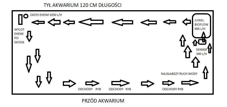 Zdjęcie Jak ustawić wlot i wylot filtra w akwarium, by uniknąć problemów z cyrkulacją