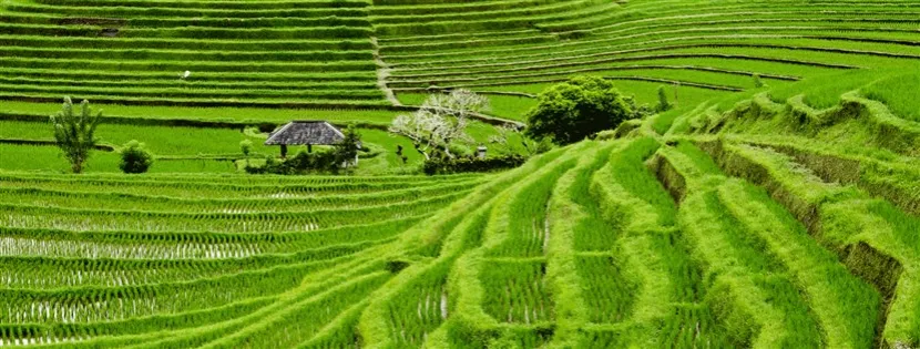 Zdjęcie Gdzie jest wyspa Bali? Odkryj jej niezwykłe położenie i klimat