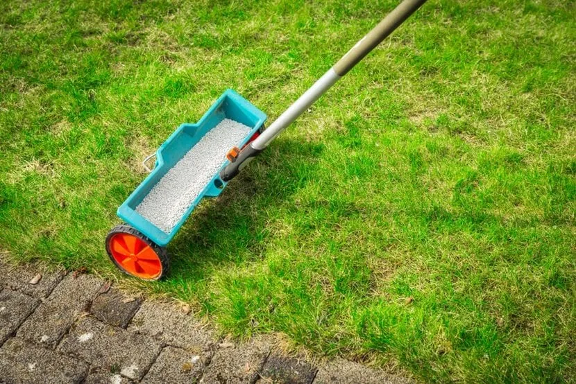 Zdjęcie Kiedy nawóz na nowy trawnik? Kluczowe terminy i porady dla zdrowej murawy