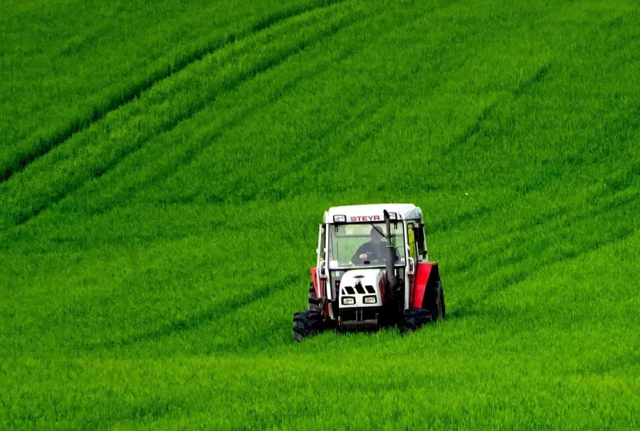 Zdjęcie Likwidacja spółdzielni kółek rolniczych: kluczowe etapy i pułapki do uniknięcia