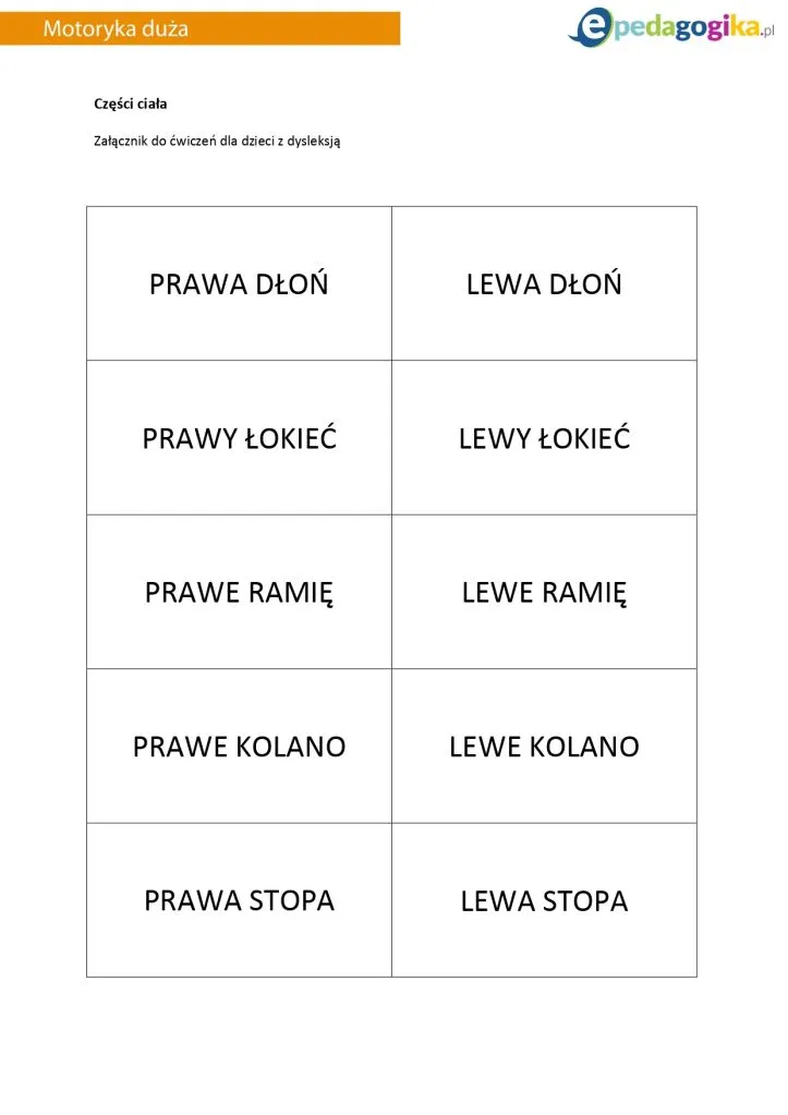 Zdjęcie Zajęcia dla dzieci z dysleksją – skuteczne metody wsparcia edukacyjnego