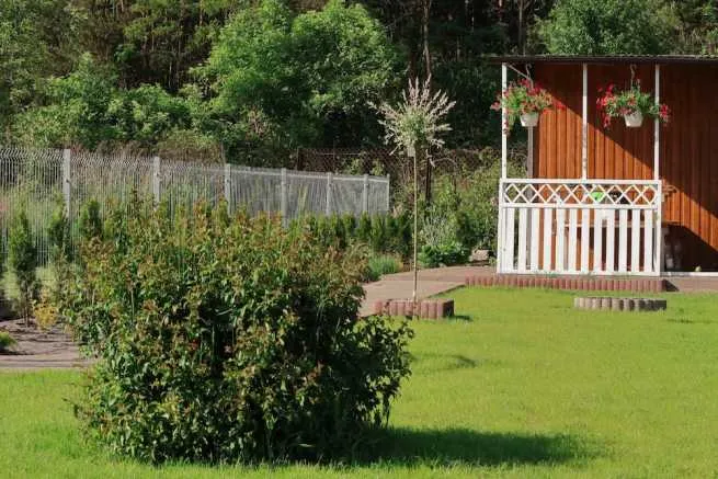 Zdjęcie Czy działka ROD wchodzi do majątku wspólnego? Poznaj kluczowe informacje