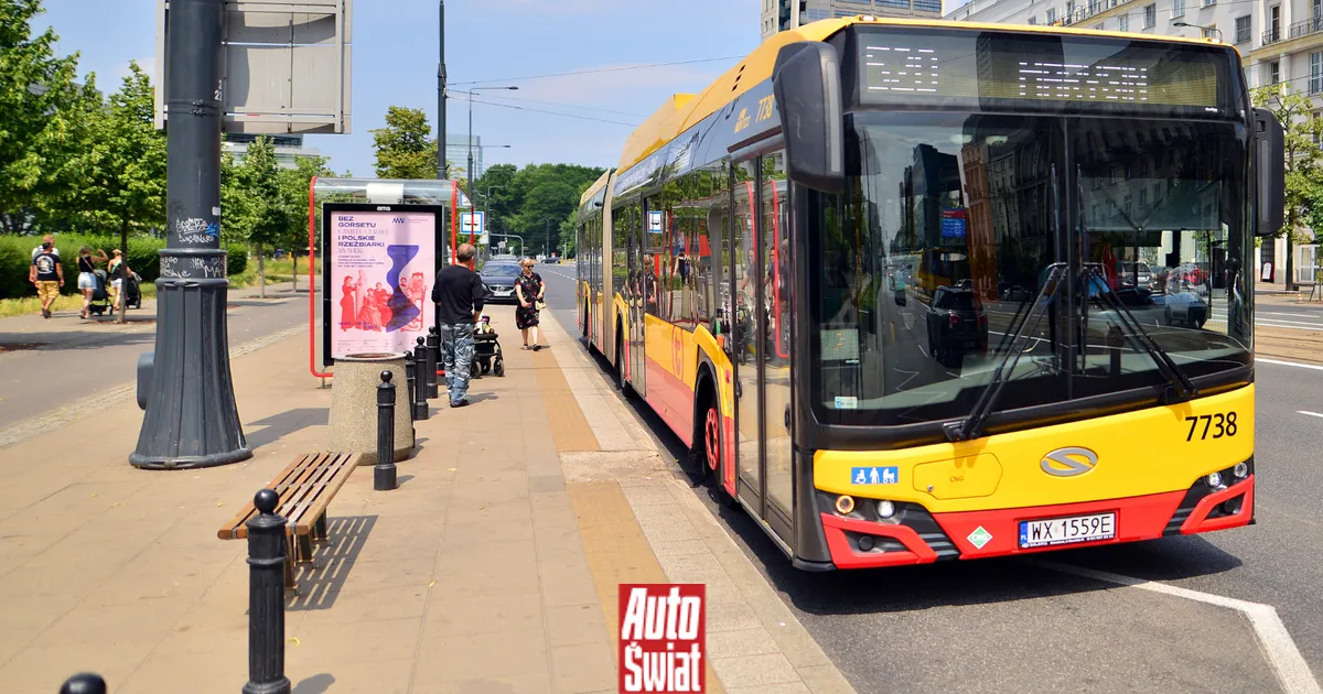 Zdjęcie Czy autobus ma pierwszeństwo w terenie zabudowanym? Sprawdź zasady bezpieczeństwa